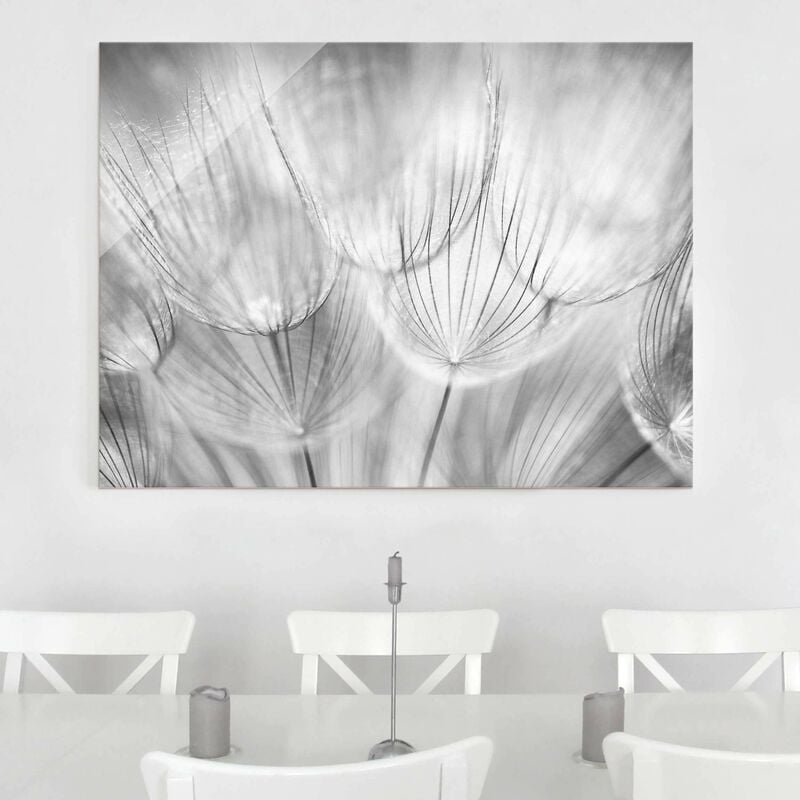 

Bilderwelten - Cuadro de cristal - Dandelions macro shot in black and white - Apaisado 3:4 Dimensión LxA: 60cm x 80cm