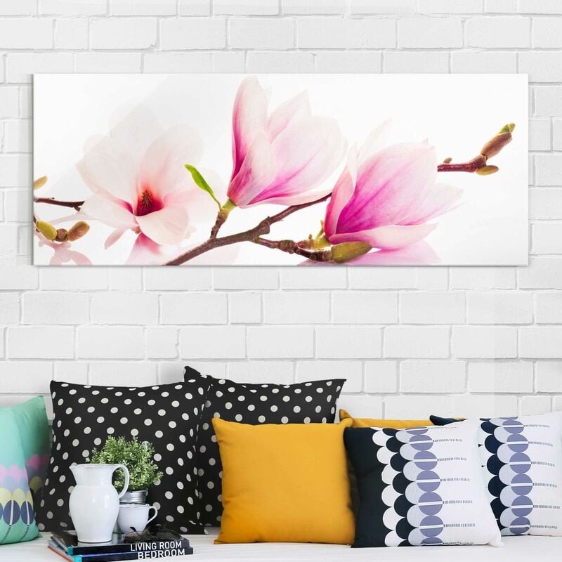

Bilderwelten - Cuadro de cristal - Delicate Magnolia Branch - Panorama Apaisado Dimensión LxA: 30cm x 80cm