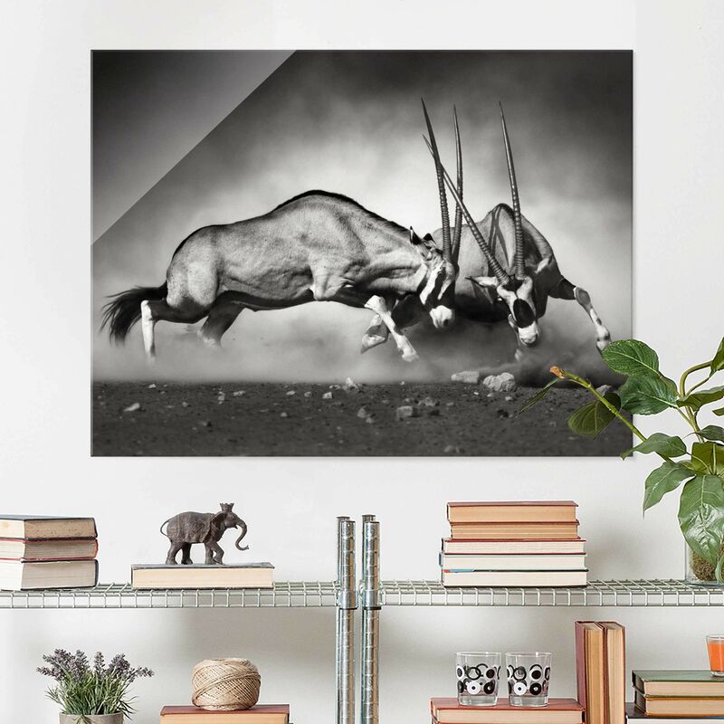 

Cuadro de cristal - Feral - Apaisado 3:4 Dimensión LxA: 60cm x 80cm