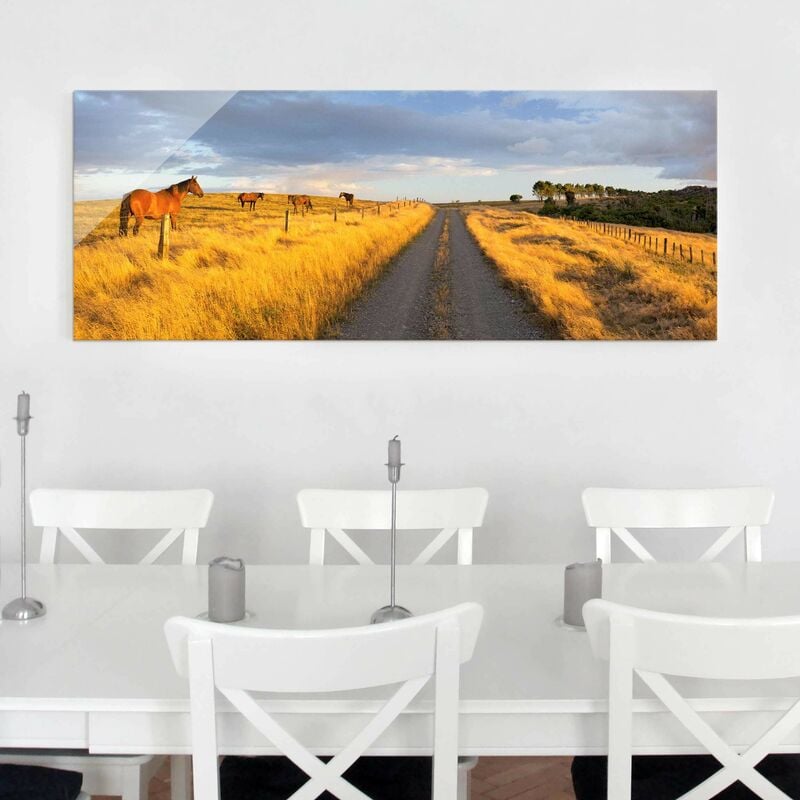 

Cuadro de cristal - Field road and horses in the evening sun - Panorama Apaisado Dimensión LxA: 20cm x 55cm