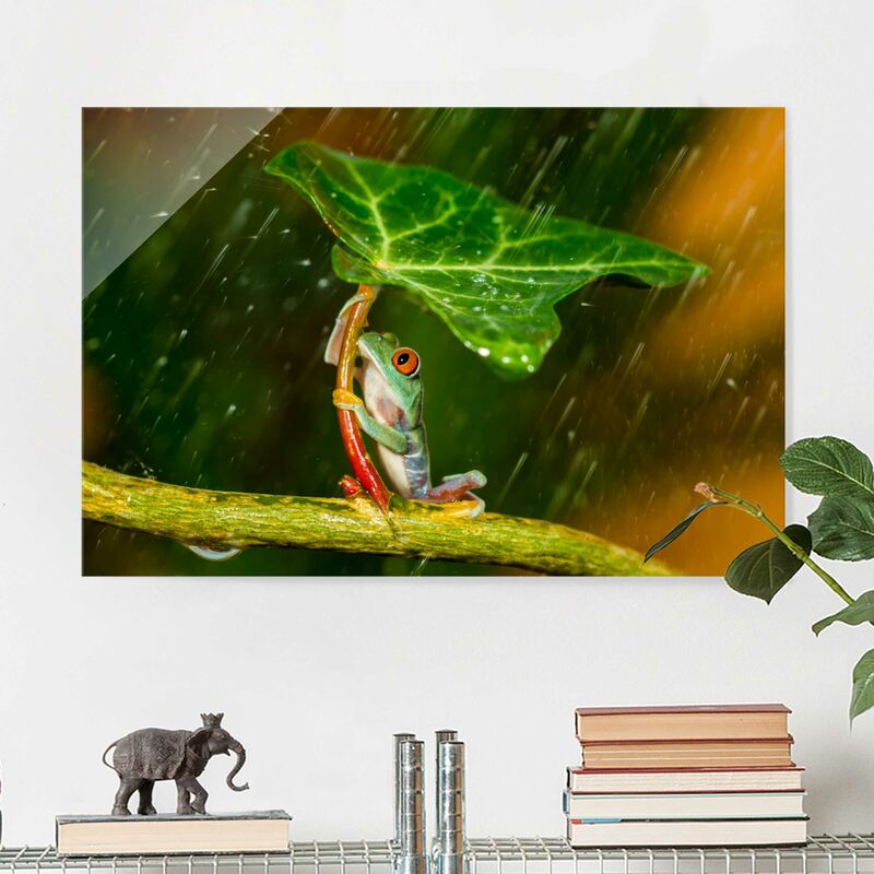 

Cuadro de cristal - Frog In The Rain - Formato Apaisado 2:3 Dimensión LxA: 30cm x 45cm