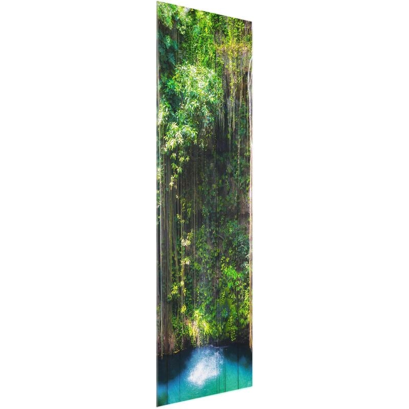 

Bilderwelten - Cuadro de cristal - Hanging roots of Ik-Kil Cenote - Panorama Alto Dimensión LxA: 80cm x 30cm