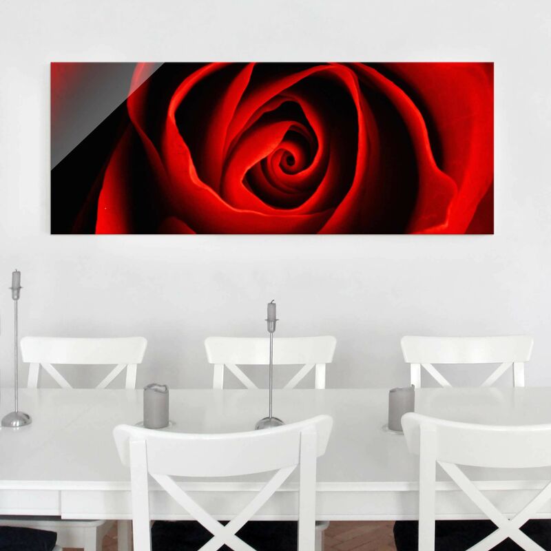 

Cuadro de cristal - Lovely Rose - Panorama Apaisado Dimensión LxA: 30cm x 80cm