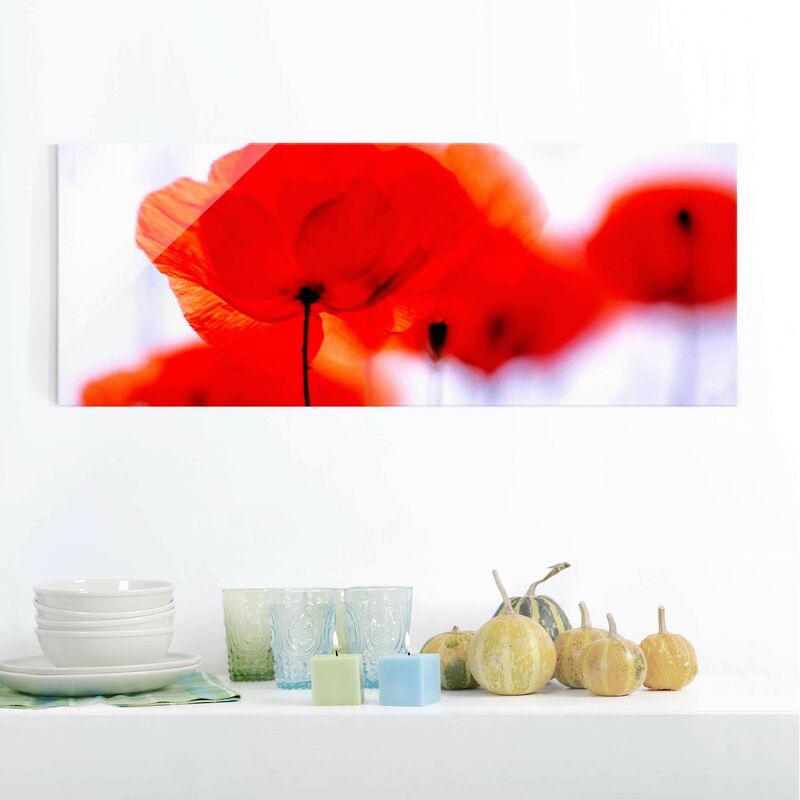

Cuadro de cristal - Magic Poppies - Panorama Apaisado Dimensión LxA: 30cm x 80cm