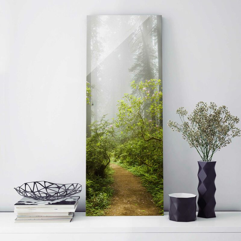 

Cuadro de cristal - Misty forest path - Panorama Alto Dimensión LxA: 80cm x 30cm