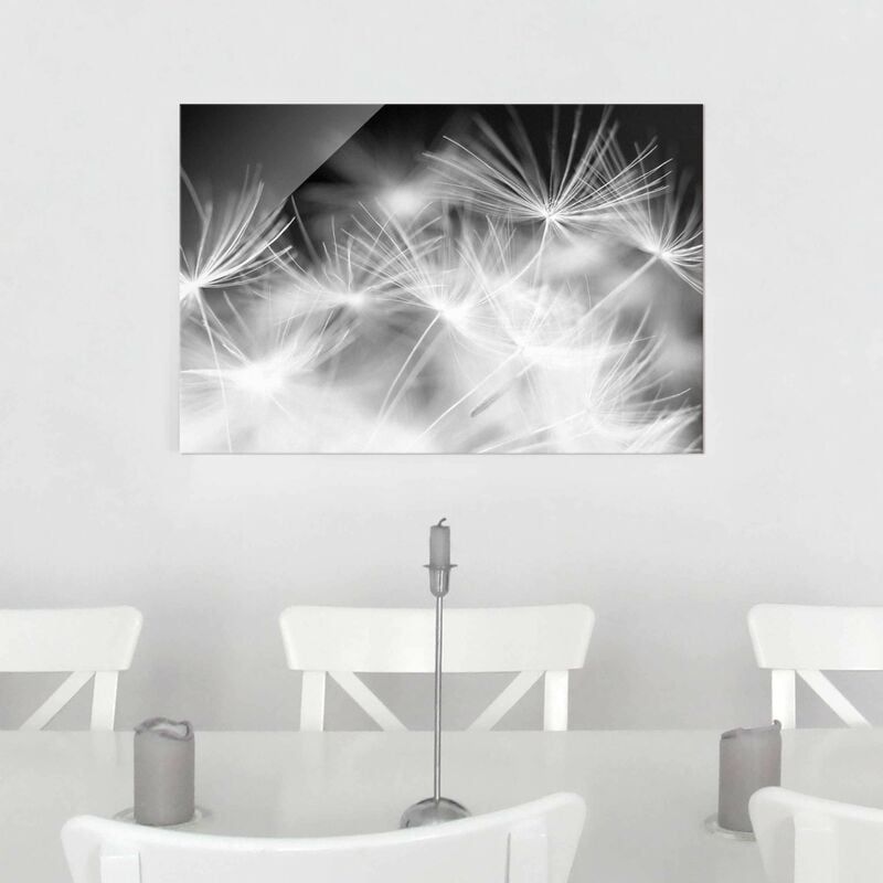 

Bilderwelten - Cuadro de cristal - Moving Dandelions close up on black background - Apaisado 2:3 Dimensión LxA: 60cm x 90cm