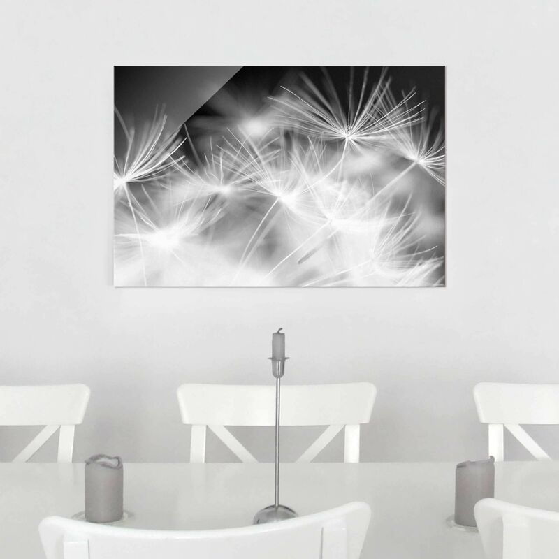 

Cuadro de cristal - Moving Dandelions close up on black background - Apaisado 2:3 Dimensión LxA: 30cm x 45cm