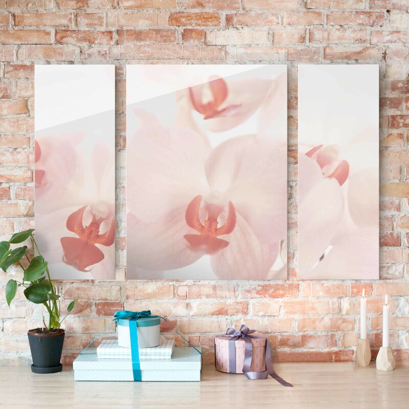 

Bilderwelten - Cuadro de cristal multipart - Bright Orchid - Svelte Orchids 3 parte Dimensión LxA: 80x30cm - 80x60cm - 80x30cm
