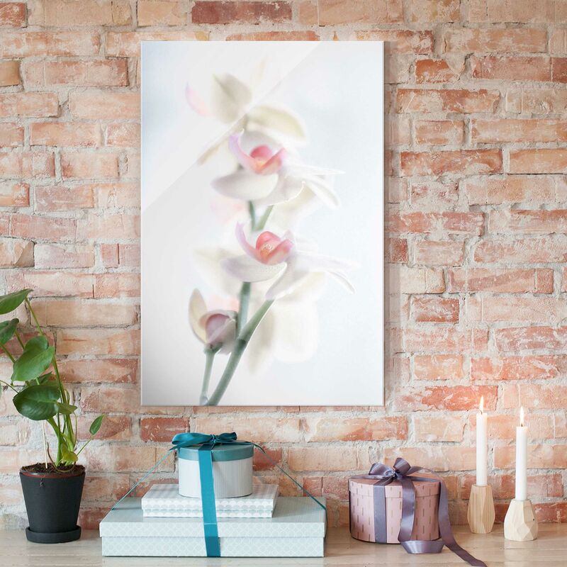 

Cuadro de cristal - Orquídea Frágil - Formato Alto 3:2 Dimensión LxA: 45cm x 30cm