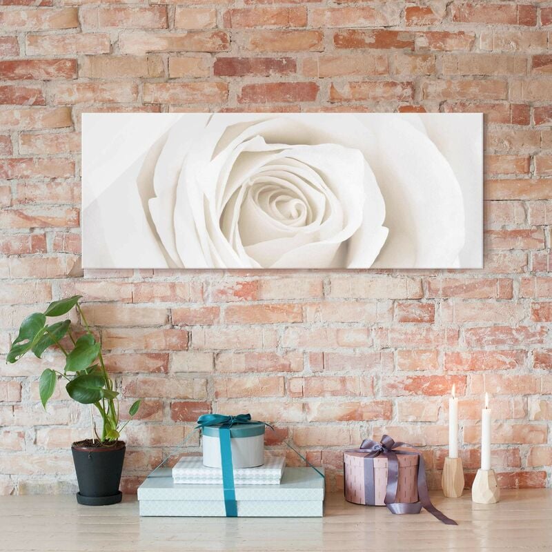 

Cuadro de cristal - Pretty White Rose - Panorama Apaisado Dimensión LxA: 40cm x 100cm