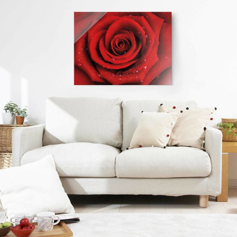 

Bilderwelten - Cuadro de cristal - Red rose with water drops - Apaisado 3:4 Dimensión LxA: 75cm x 100cm