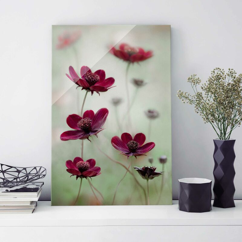 

Cuadro de cristal - Rosa Cosmos - Formato Alto 3:2 Dimensión LxA: 45cm x 30cm