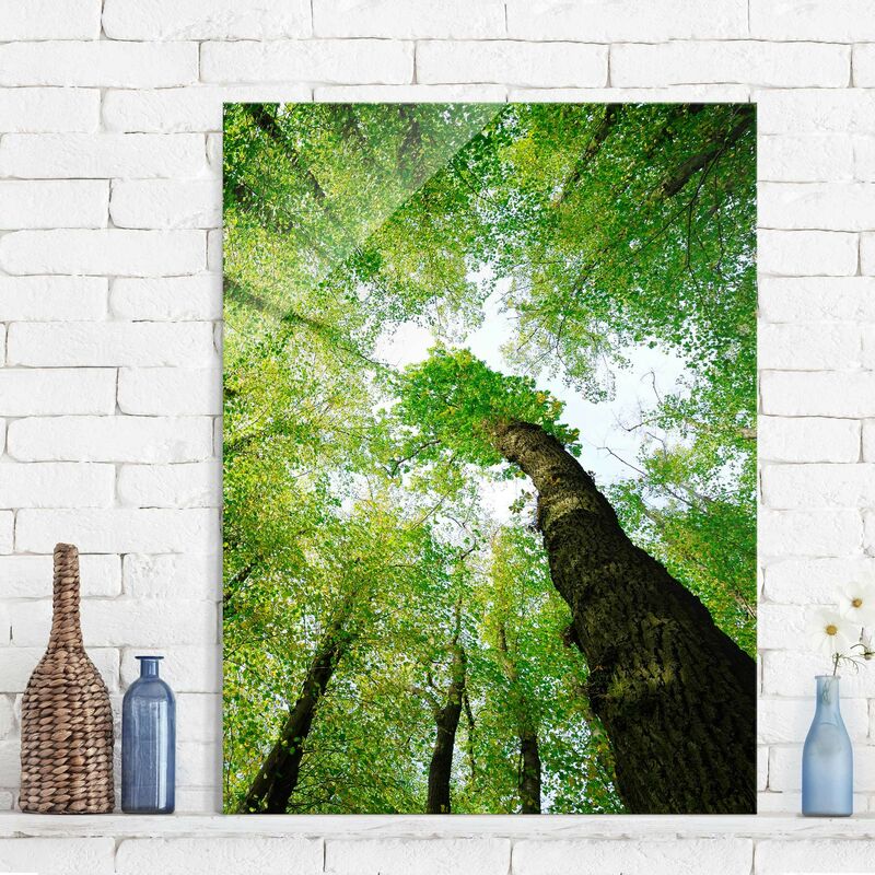 

Cuadro de cristal - Trees of life - Alto 4:3 Dimensión LxA: 80cm x 60cm