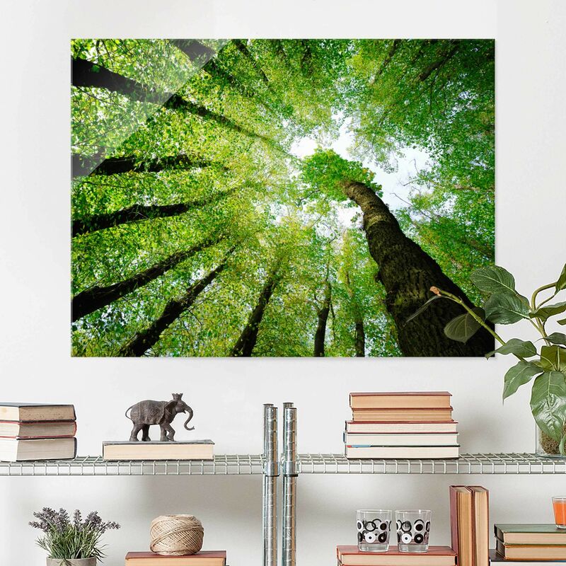 

Cuadro de cristal - Trees of Life - Apaisado 3:4 Dimensión LxA: 60cm x 80cm