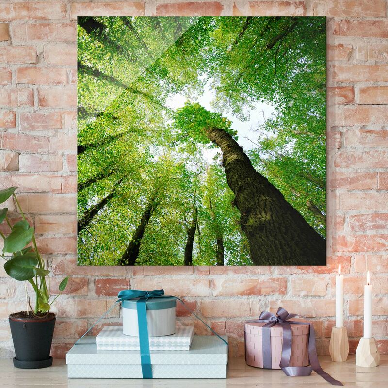 

Cuadro de cristal - Trees of life - Cuadrado 1:1 Dimensión LxA: 50cm x 50cm
