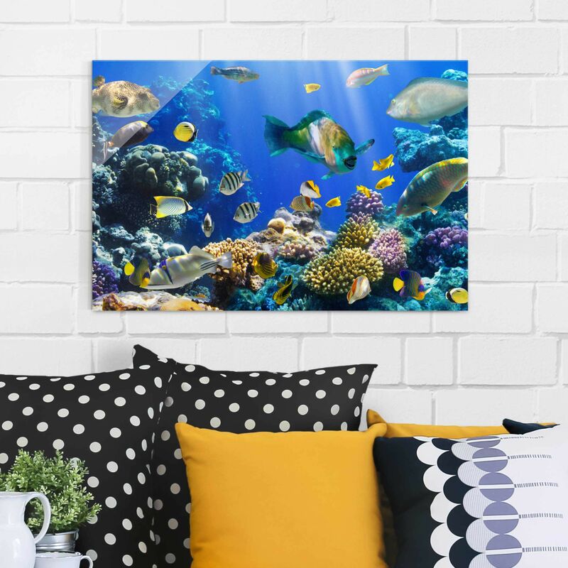 

Cuadro de cristal - Underwater Reef - Apaisado 2:3 Dimensión LxA: 30cm x 45cm