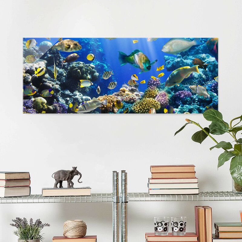 

Bilderwelten - Cuadro de cristal - Underwater Reef - Panorama Apaisado Dimensión LxA: 30cm x 80cm