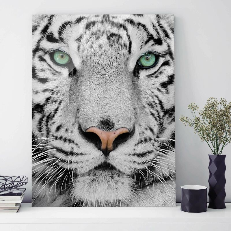 

Cuadro de cristal - White Tiger - Alto 4:3 Dimensión LxA: 80cm x 60cm
