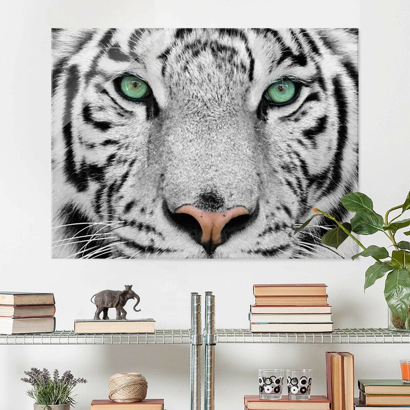 

Cuadro de cristal - White Tiger - Apaisado 3:4 Dimensión LxA: 60cm x 80cm