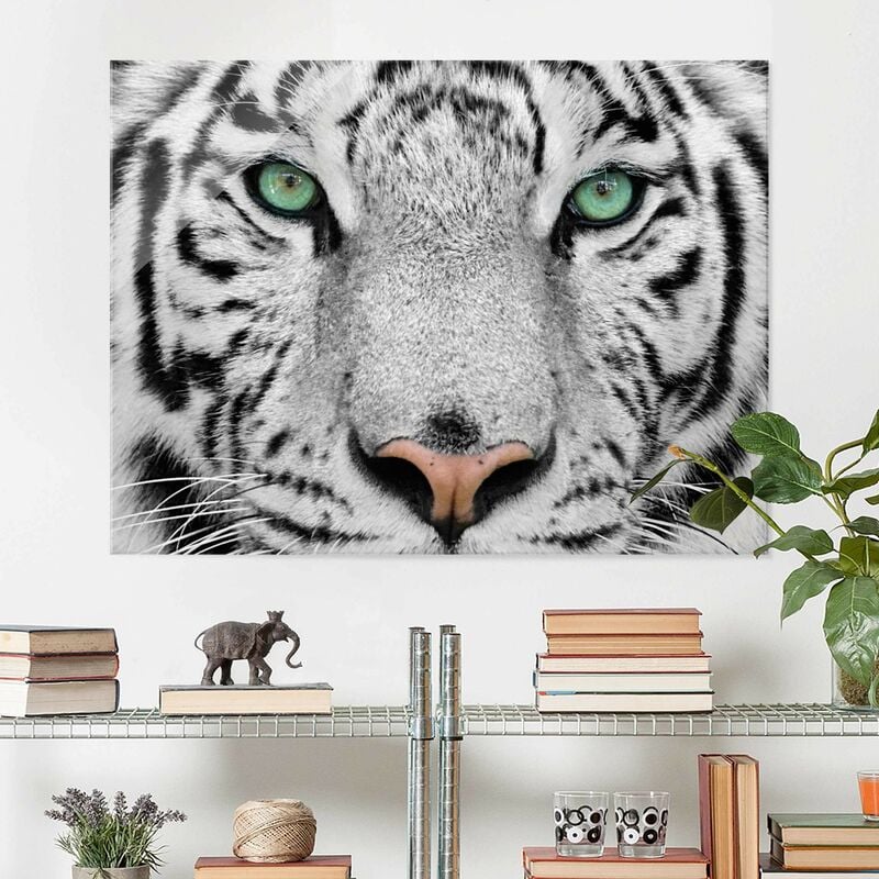 

Cuadro de cristal - White Tiger - Apaisado 3:4 Dimensión LxA: 75cm x 100cm