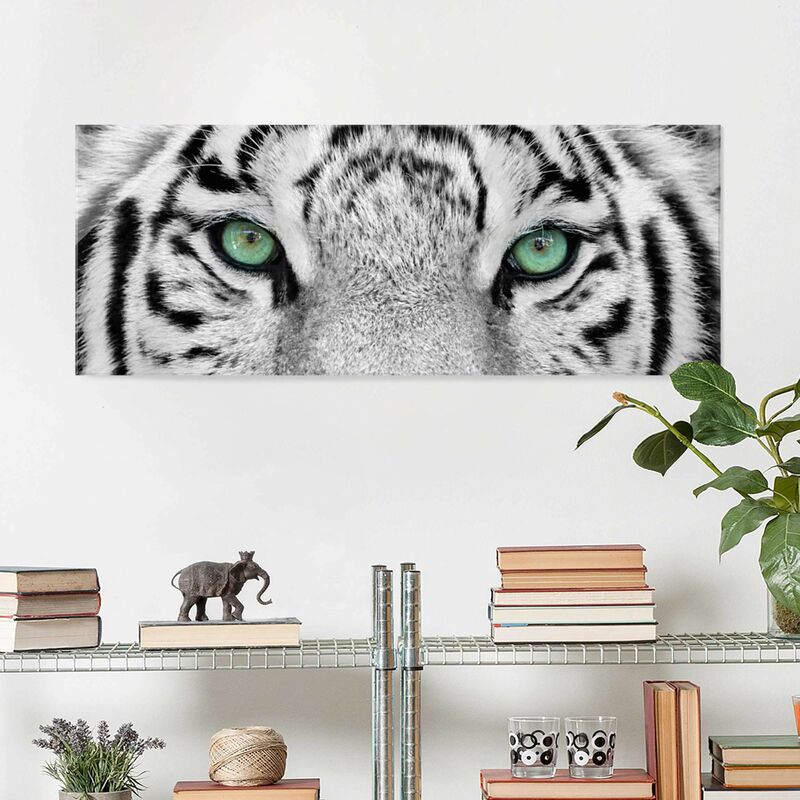 

Cuadro de cristal - White Tiger - Panorama Apaisado Dimensión LxA: 30cm x 80cm