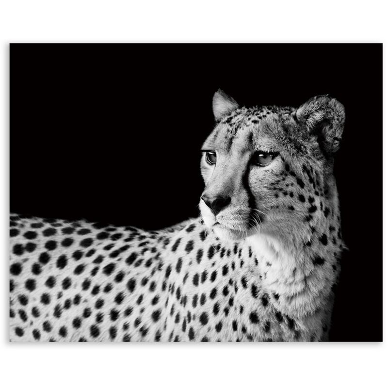 

Cuadro de leopardo fotoimpreso sobre lienzo blanco y negro de 100x80 cm