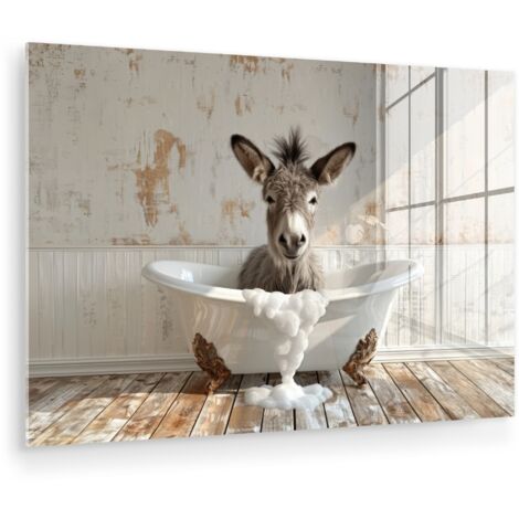CUADRO DE METACRILATO Burro - Animales - Bañera - Espuma Adornos Pared 90x60