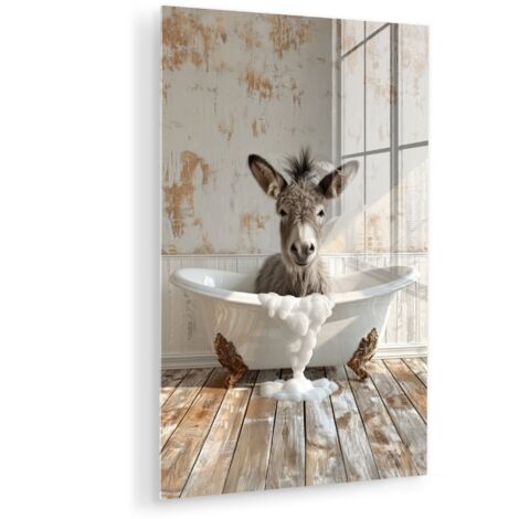CUADRO DE METACRILATO Burro - Animales - Bañera - Espuma Decoracion Pared Salon 40x60