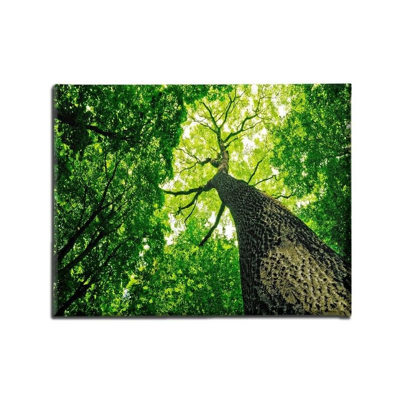 

Homemania - Cuadro De Pared - arbol - angulo bajo - Naturaleza - para la sala de estar, la habitacion - Multicolor en Poliester, Madera, 70 x 3 x 45