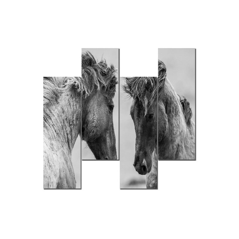 

Homemania - Cuadro De Pared - Caballos - Animales - para la sala de estar, la habitacion - Multicolor en MDF, 19 x 0,3 x 50 cm (4 Stuecke)