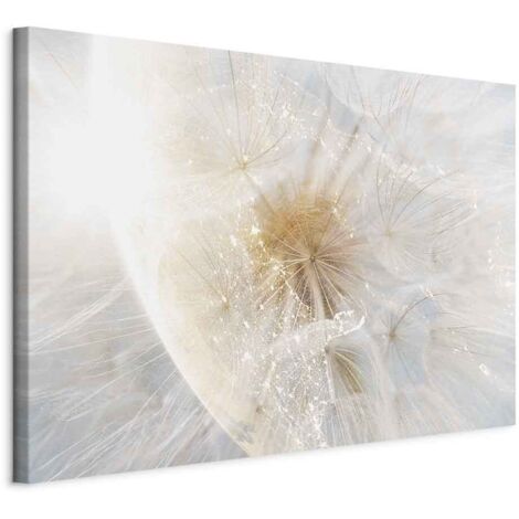 Cuadro - Diente de león al sol (1 pieza) ancho