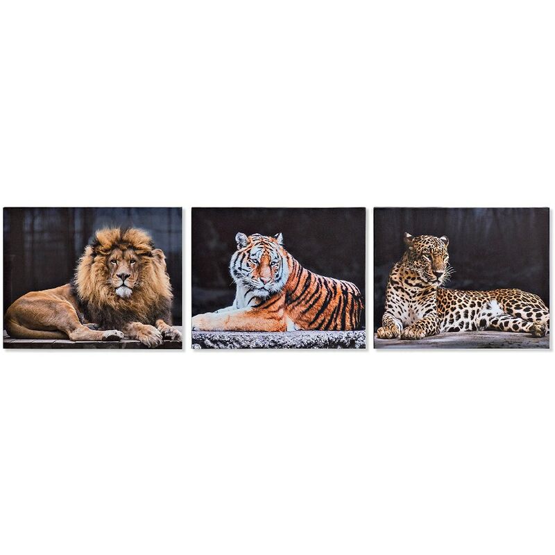 

Cuadro DKD Home Decor Animales 50 x 1.8 x 40 cm (3 pcs)