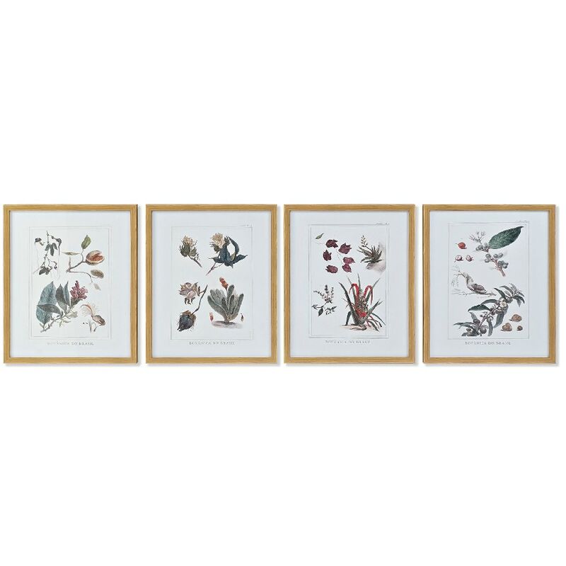 

Cuadro DKD Home Decor Lienzo Plantas botánicas (4 pcs) (43 x 3 x 53 cm)