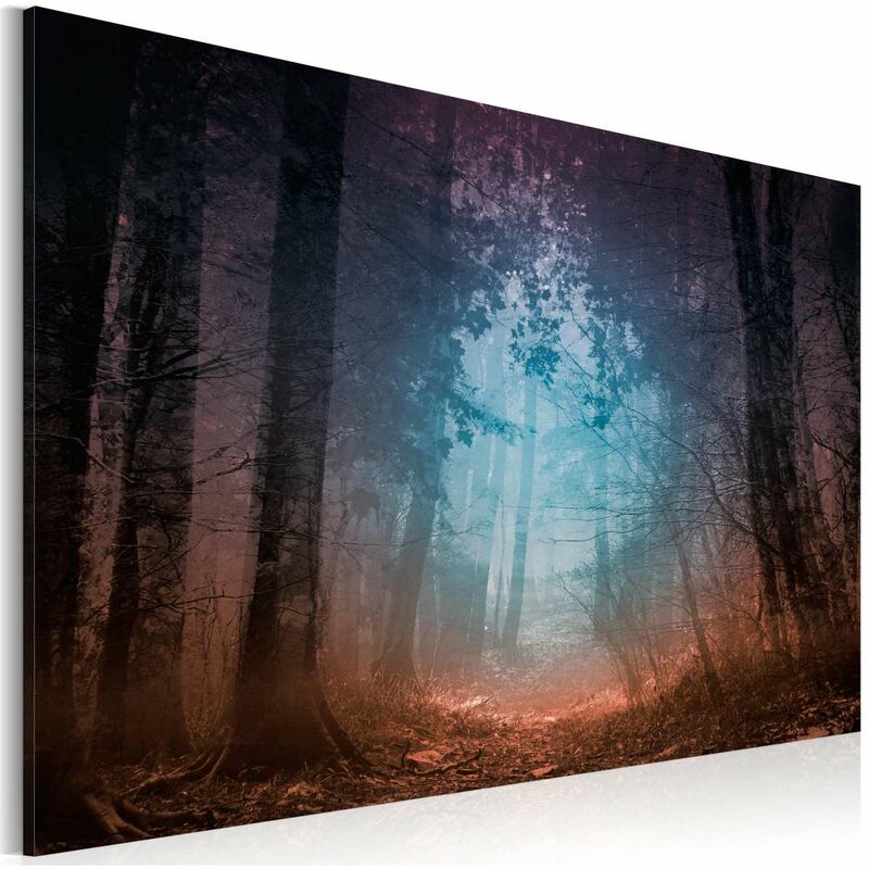 

Cuadro - Edge of the forest Medidas 120X80