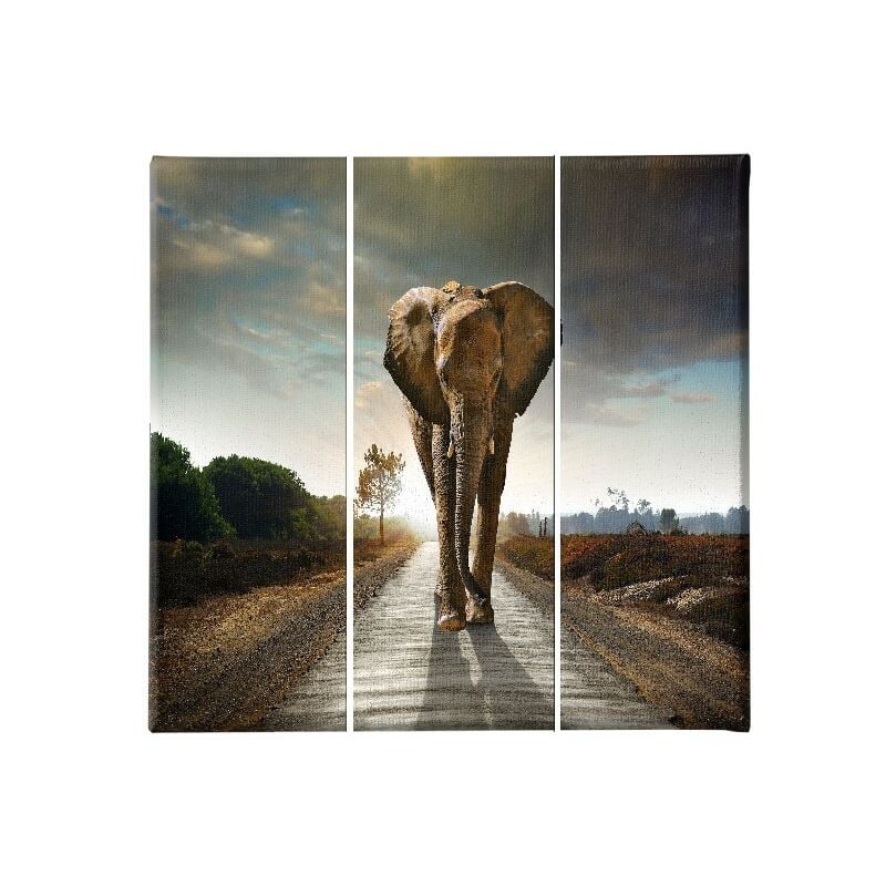 

Homemania - Cuadro Elefante - 3 Piezas - Animales - de la sala de estar, habitacion - Multicolor en Poliester, madera, 69 x 3 x 50 cm