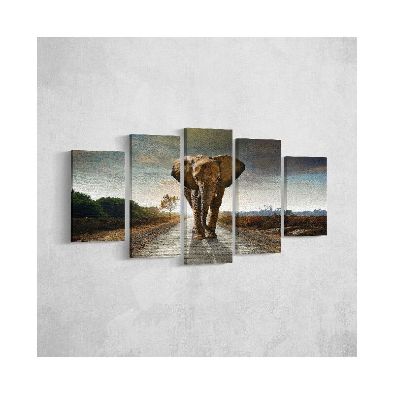 

Homemania - Cuadro Elefante - 5 Piezas - Animales - por sala, habitacion - Multicolor en Poliester, madera, 100 x 3 x 60 cm
