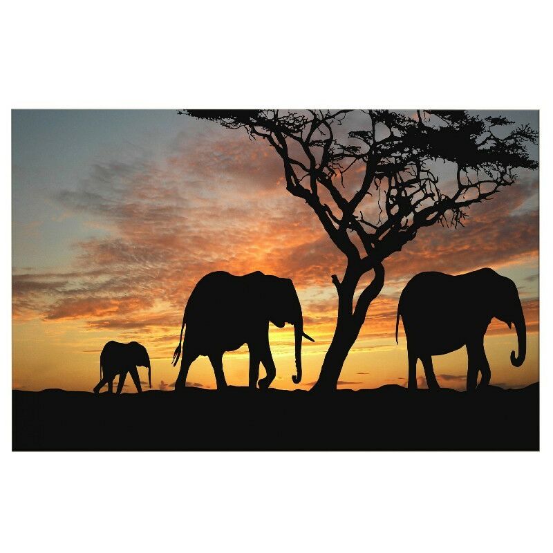 

Homemania - Cuadro Elefante - Animales - para la sala de estar, la habitacion - Multicolor en Poliester, madera, 100 x 3 x 50 cm