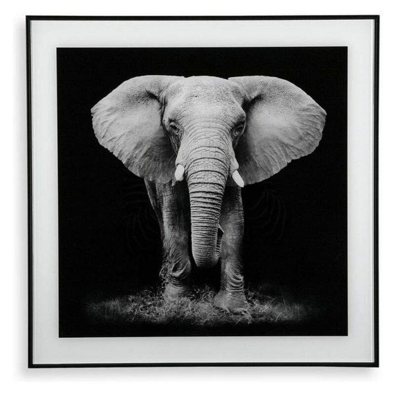 

Cuadro Elephant (2 x 50 x 50 cm)