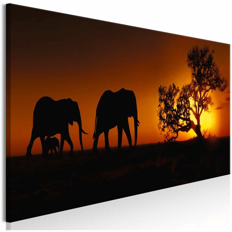 

Cuadro - Elephant Family (Orange) Medidas 135X45