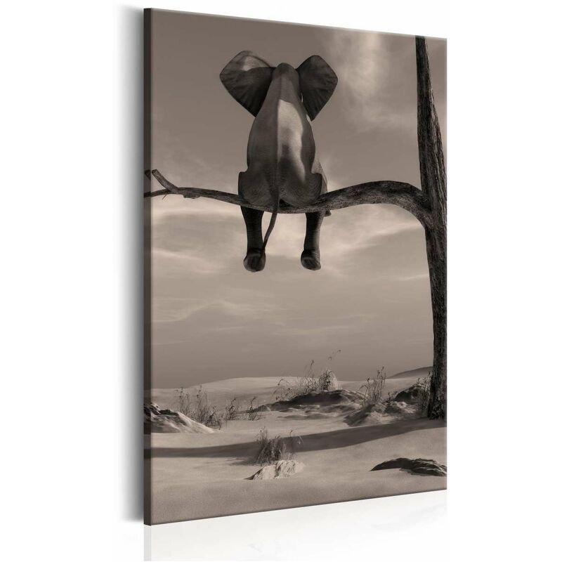

Cuadro - Elephant in the Desert Medidas 80X120
