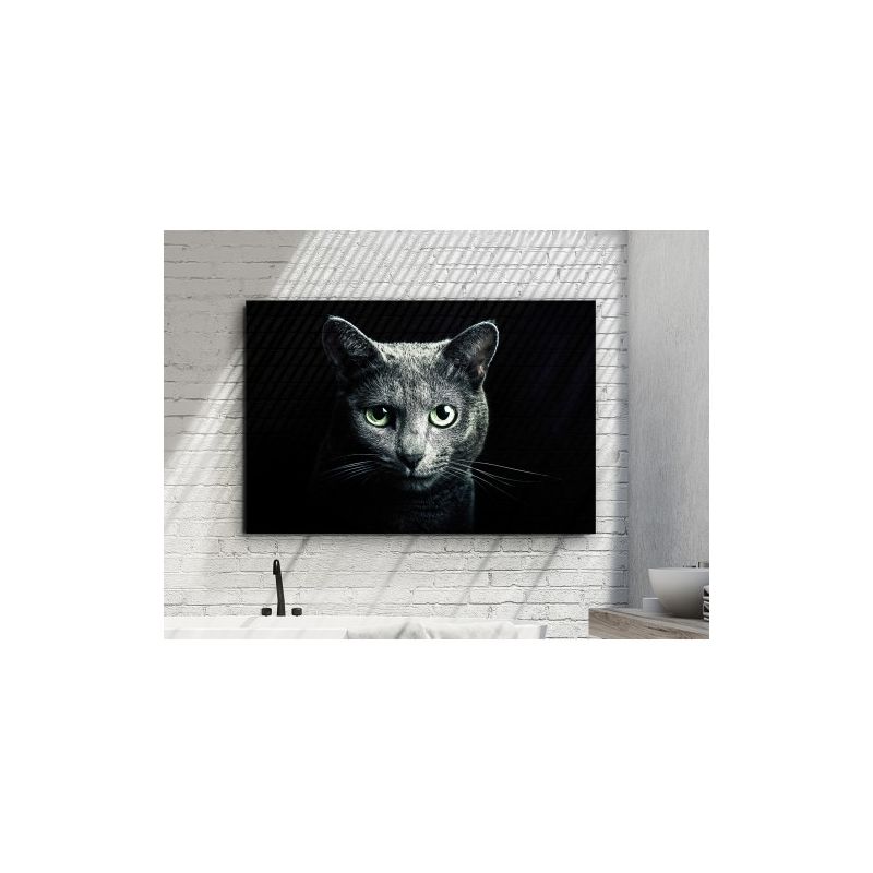 

FOTOGRAFÍA ·FELINO· 120x80