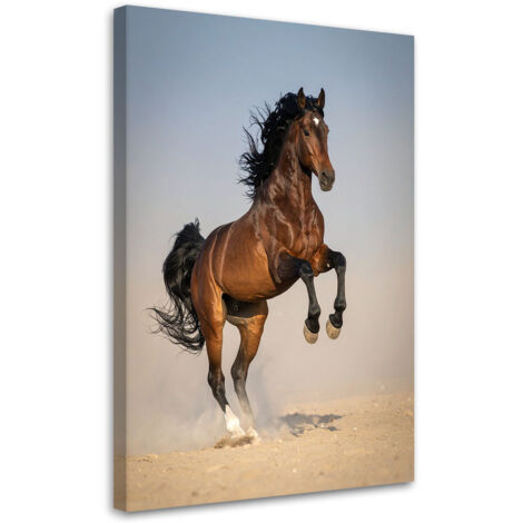 Cuadro en Lienzo, Caballo galopando en arena, 20x30