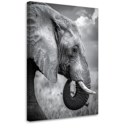 Cuadro en Lienzo, Elefante África sabana blanco y negro, 80x120