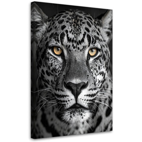 Cuadro en Lienzo, Jaguar animales naturaleza blanco y negro, 20x30