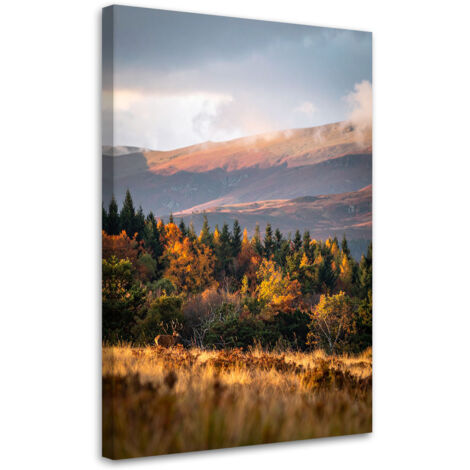 Cuadro en Lienzo, Paisaje montañas valles naturaleza, 30x45