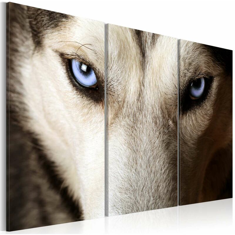 

Cuadro - Face to face with fear Medidas 60X40