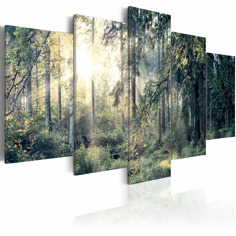 

Cuadro - Fairytale Landscape Medidas 200X100