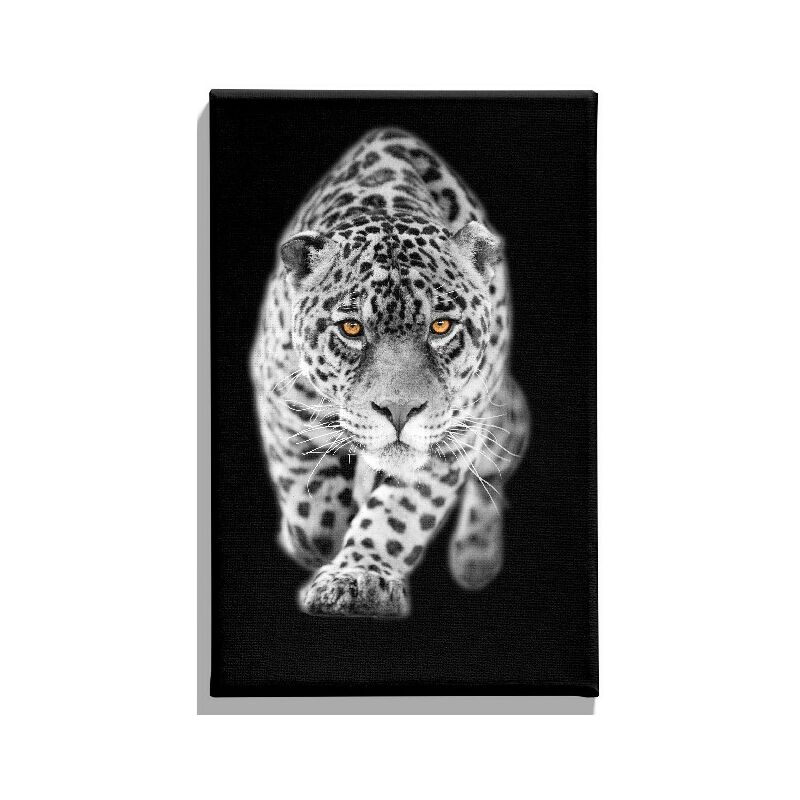 

Homemania - Cuadro Felino - Animales - para la sala de estar, la habitacion - Multicolor en Poliester, madera, 45 x 3 x 70 cm