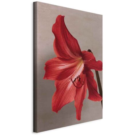 Cuadro - Flor roja (1 pieza) vertical