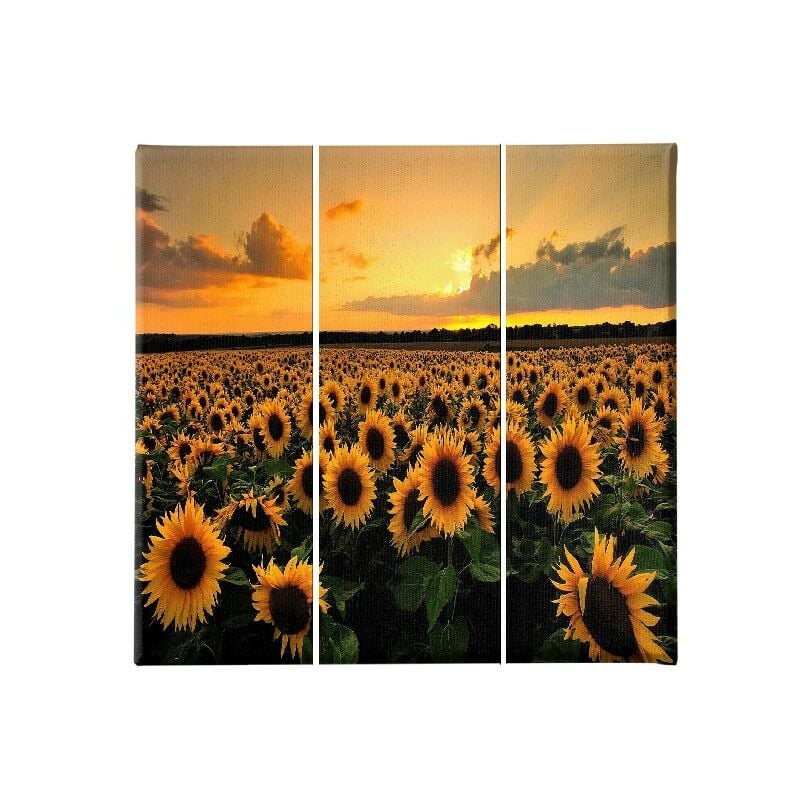 

Homemania - Cuadro Flores - 3 piezas - Naturaleza y paisajes - por sala de estar, habitacion - Multicolor en Poliester, madera, 69 x 3 x 50 cm